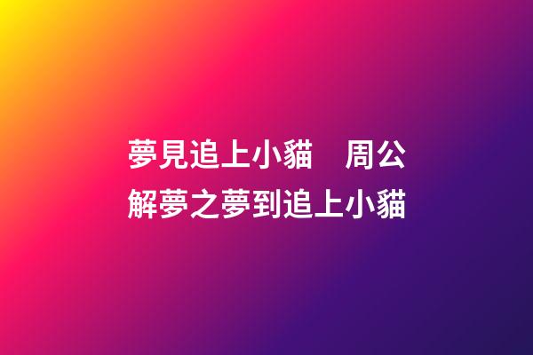 夢見追上小貓　周公解夢之夢到追上小貓